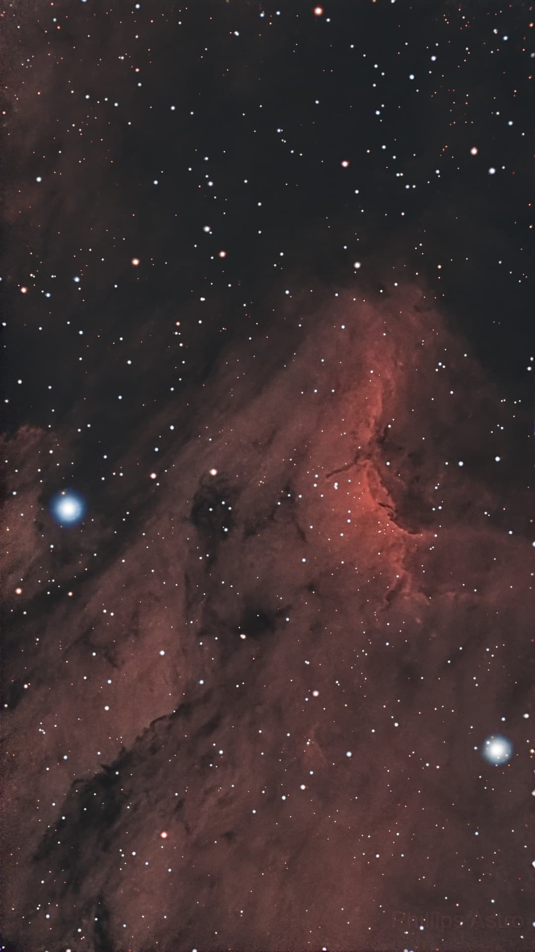 IC 5070 - The Pelican Nebula (RGB)