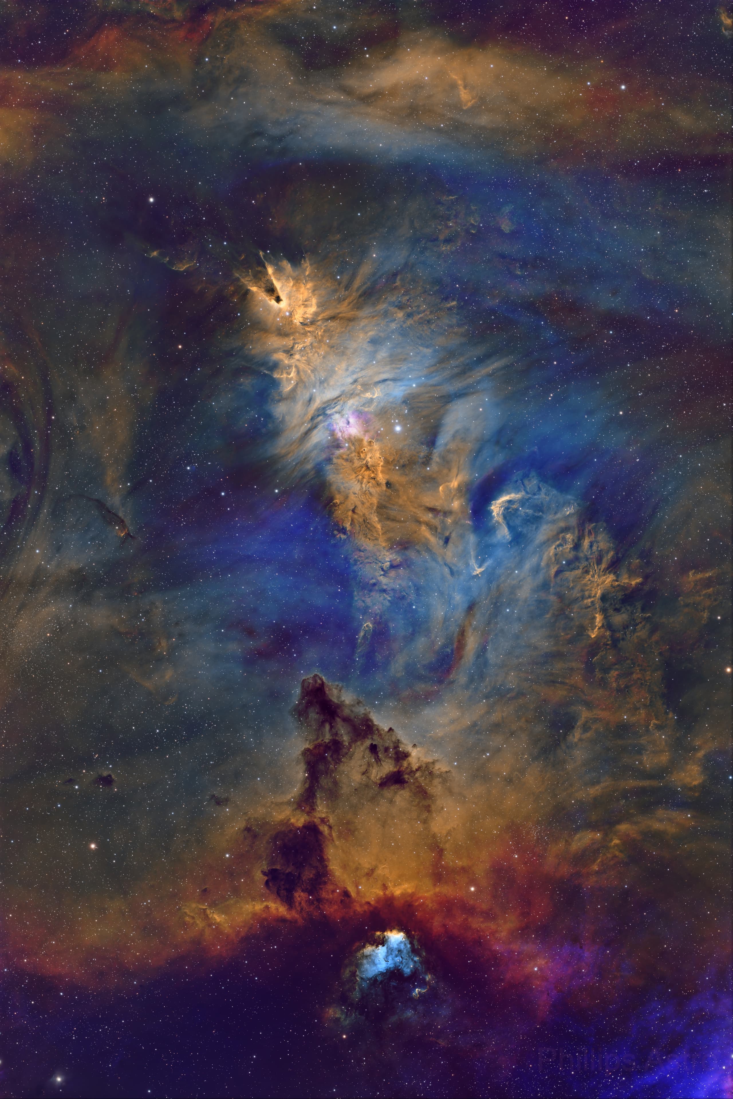 NGC 2264 - Christmas Tree Cluster & Cone Nebula (SHO)